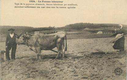 .CPA   FRANCE 07 "Type de paysanne Cévennole, La femme laboureur"