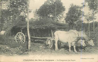 CPA FRANCE 21 "L'Exploitation des Bois en Bourgogne, le chargement des Fagots" / AGRICULTURE