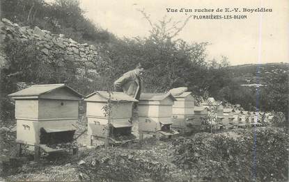 CPA FRANCE 21 "Plombières les Dijon, un rucher de E.V. Boyeldieu" / APICULTURE