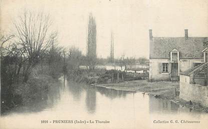 .CPA FRANCE 36 "Pruniers, La Thonaise"