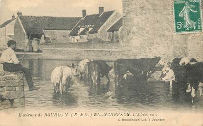 CPA FRANCE 91 "Env. de Dourdan, Blancheface, l'abreuvoir"