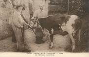 37 Indre Et Loire .CPA  FRANCE 37 " Tours, Institut Vaccinal du Docteur Chaunier, Les génisses vaccinifères"/VETERIINAIRE