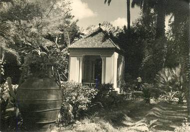 CPSM MAROC "Marrakech, jardin de Maitre Majorelle, le peintre"