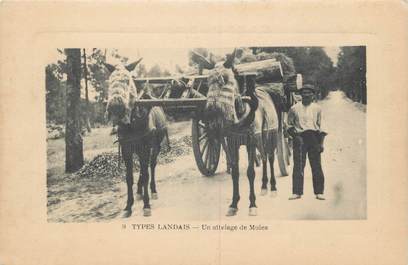 .CPA  FRANCE 40 "Types Landais, Un attelage de mules"