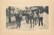 40 Lande .CPA  FRANCE 40 "Types Landais, Un attelage de mules"