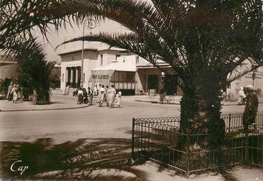  CPSM MAROC "Safi, place du R'bat à travers les palmiers"