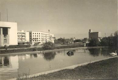  CPSM MAROC "Port Lyautey, la pièce d'eau des services municipaux"