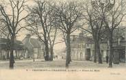 41 Loir Et Cher .CPA FRANCE 41 " Chaumont sur Tharonne, Place du Midi"