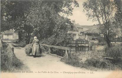 .CPA FRANCE 41 " Champigny sous Orchèse, Vallée de la Cisse"