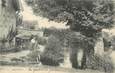 .CPA FRANCE 41 " Cheverny, Sous bois"