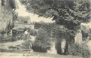 41 Loir Et Cher .CPA FRANCE 41 " Cheverny, Sous bois"