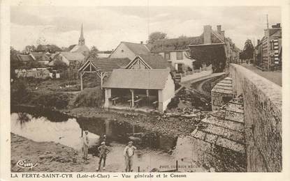 .CPA FRANCE 41 "La Ferté St Cyr, Vue générale et Cosson"