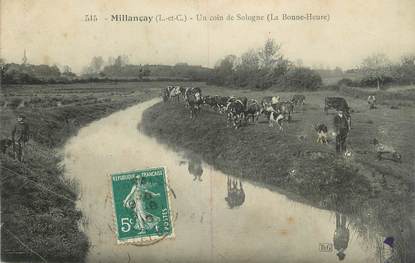 .CPA FRANCE 41 "Millançay, Un coin de Sologne"