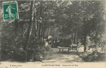.CPA FRANCE 41 "La Motte Beuvron, Sanatorium des Pins"