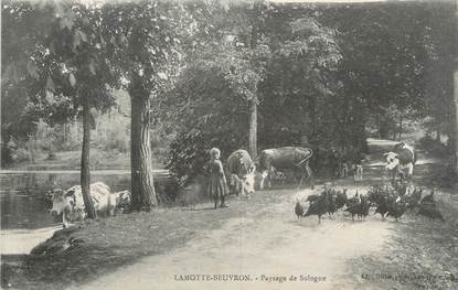 .CPA FRANCE 41 "La Motte Beuvron, Paysage de Sologne"