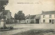 41 Loir Et Cher .CPA FRANCE 41 "Pierrefiitte sur Sauldre, La place"