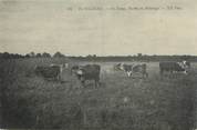 41 Loir Et Cher .CPA  FRANCE 41 "  Sologne,  Un étang Vâches au Pâturage"