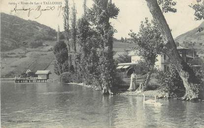 .CPA  FRANCE 74 "Talloires, Rives du lac"