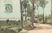 33 Gironde CPA FRANCE 33 "Bour sur Gironde, La Route du Pain de Sucre"