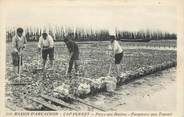 33 Gironde CPA FRANCE 33 "Cap Ferret, Parcs aux Huitres, parqueurs au travail"