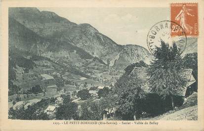 .CPA FRANCE 74 "Le Petit Bornand, Saxiat, Vallée de Beffay"