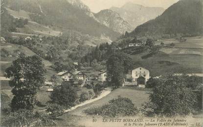 .CPA FRANCE 74 "Le Petit Bornand, La Vallée du Jalandre"