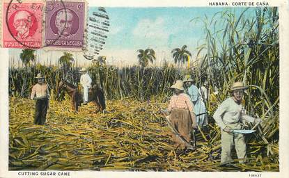 CPA CUBA "Récolte de la Canne à sucre"