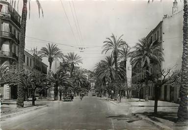 CPSM FRANCE 83 "Hyères, avenue des palmiers"