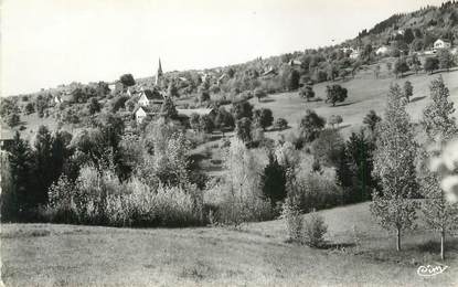 .CPSM FRANCE 74 " Lucinges, Vue générale."