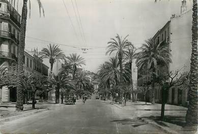 CPSM FRANCE 83 " Hyères, l'avenue des palmiers"