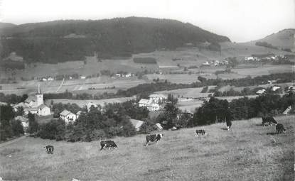 .CPSM  FRANCE 74 "  Habère Poche, Vue générale  "