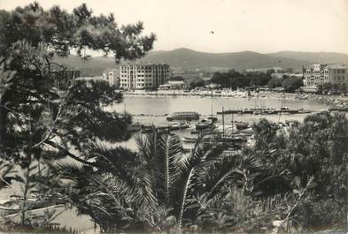 CPSM FRANCE 83 " Le Lavandou,  vue à travers les mimosas et les palmiers"