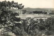 83 Var CPSM FRANCE 83 " Le Lavandou,  vue à travers les mimosas et les palmiers"