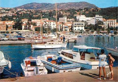 CPSM FRANCE 83 " Le Lavandou,  le port "