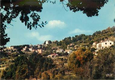   CPSM FRANCE 83 "Montauroux ,  vue générale"