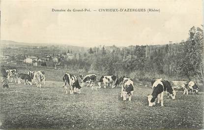 .CPA  FRANCE 69 " Civrieux d'Azergues, Domaine du Grand Pré"
