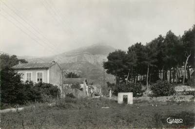   CPSM FRANCE 83 " Dardennes, rte du Revest"