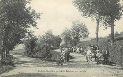 .CPA  FRANCE 69 " Les Echarmeaux, Attelages de charollais"