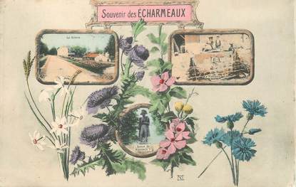 .CPA  FRANCE 69 " Les  Echarmeaux, Souvenir des Echarmeaux"