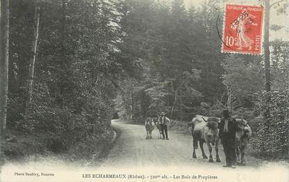 .CPA  FRANCE 69 " Les Echarmeaux, Les bois de Propières"