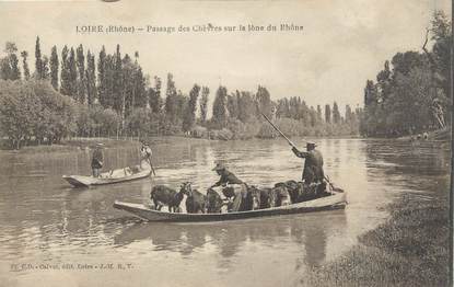 .CPA  FRANCE 69 "Loire, Passage des chèvres sur la Lône du Rhône" / CHEVRE