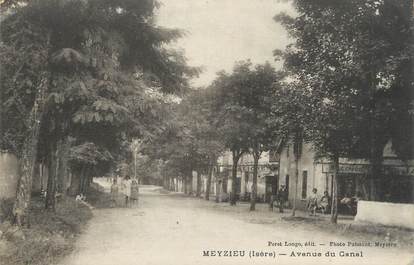 .CPA  FRANCE 69 " Meyzieu, Avenue du Canal"