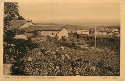 .CPA  FRANCE 69 " Montmelas, Scènes de vendanges"