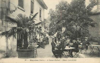 .CPA FRANCE 69 " Meyzieu, Hôtel Laliche"