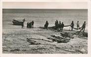 Tunisie CPSM TUNISIE  "Gabès, pêcheurs sur la plage"