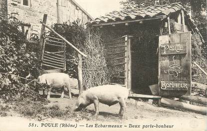 .CPA  FRANCE 69 " Poule, Les Echarmeaux deux porte-bonheur"