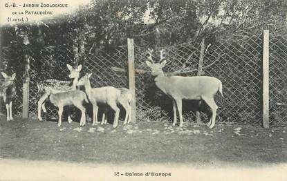 .CPA  FRANCE 37 "La Pataudière, Jardin zoologique"