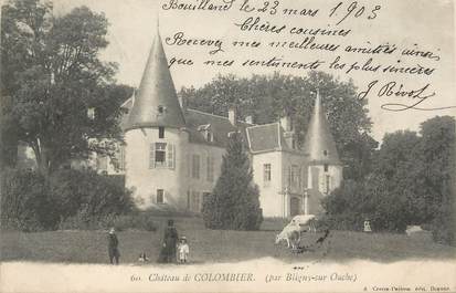 .CPA  FRANCE 21 "Colombier, Le château"