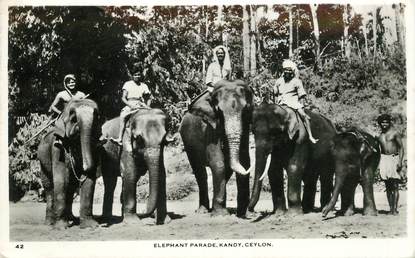 CPSM   SRI LANKA  " Parade d'éléphants"