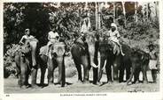 Asie CPSM   SRI LANKA  " Parade d'éléphants"